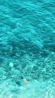 Relaxing swim in the clear waters of Mimice, Croatia on a sunny day video