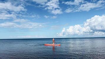 Experience Serene Kayaking Adventure on the Calm and Beautiful Waters of Nature video