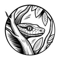 Snake head in jungle themed round frame, detailed black and white illustration, reptile eye, leaves, nature, wood vector
