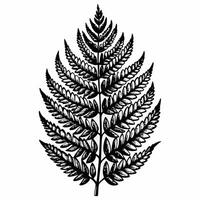 Intricate Black Fern Silhouette Nature Inspired Botanical Art on White Background vector