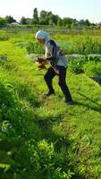 Engaging in Gardening within a Green Field, Enthusiastically under Natural Light video
