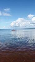 Calm Summer Day Spent at the Beautiful Lake Enjoying the Activities of Kayakers video