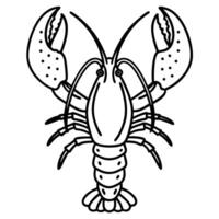 Outlined lobster illustration simple black and white line drawing of marine crustacean with detailed claws and antennae vector