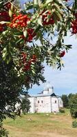 Beautiful Historic Building is Lovingly Surrounded by Nature, scenic Landscapes video