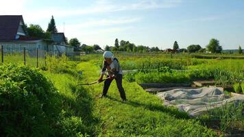 A person is diligently working in a lush green garden on a sunny day outside video