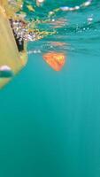 Kayak Paddle Water. Kayak paddle dips underwater, showing motion in water recreation, hobby activity video