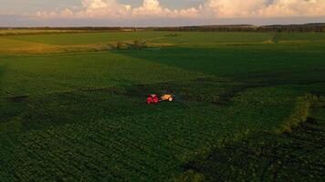 Aerial view of a tractor spraying an agricultural field with pesticides at sunset. Farming. Agricultural industry. Ufa, Republic of Bashkortostan. July 10, 2024 video