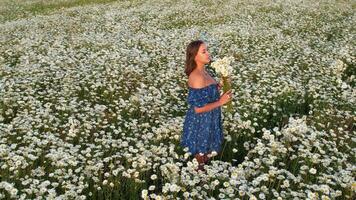 W woman in a blue dress stands on a blooming meadow with a bouquet of flowers at sunset. A field with blooming daisies. Privacy with nature video