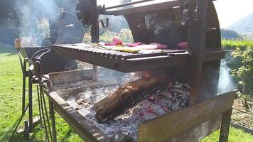 Grilled with vegetables on the fire video