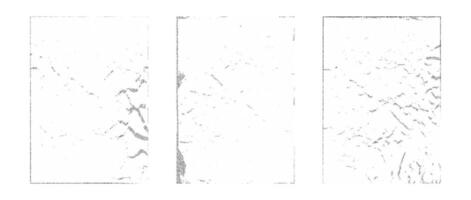 Stipple rough grunge collection. Aged pixelated texture paper overlay set. Dotted scratched crumpled background. Dirt grainy stippled backdrop for poster, vinyl cover, frame, banner. vector