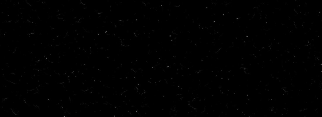 Dusty particles background. Sandy noise film filter texture. Old grunge speckles, scratches, fibers, flecks, specks wallpaper. Vintage rough grit dirt overlay. Dotted grain distressed backdrop