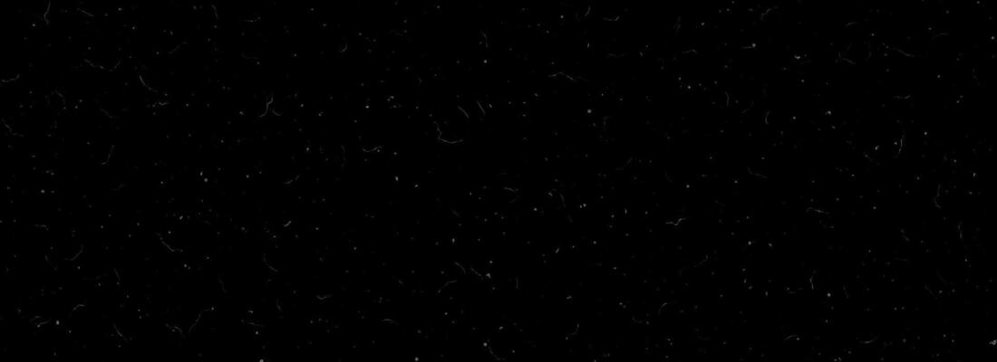 Dust grain particles background. Sandy noise film filter texture. Old grunge speckles, scratches, fibers, flecks, specks wallpaper. Vintage rough gritty dirt overlay. Dotted distressed backdrop