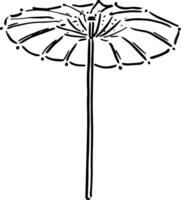 Minimal Beach Umbrella Sketch for Cafe Print Use vector