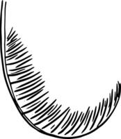 Palm Frond Sketch for Nature-Inspired Packaging vector