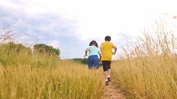 a little girl and a boy, run holding hands along the path, among the tall grass, in the field video