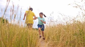 Happy children, a little girl and a boy, are spinning and dancing, holding hands, in a field video