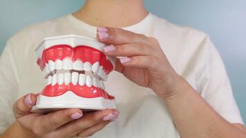 Demonstrating dental model mechanics with handheld mouth replica for educational purposes video