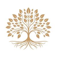 Tree of Life vector