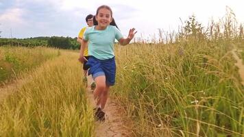 Happy children run along the path in the field, in summer video