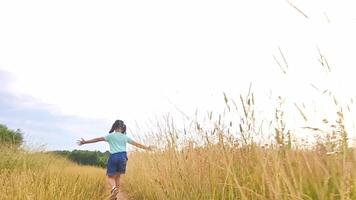Happy little girl runs among the tall grass, in a field, in summer video