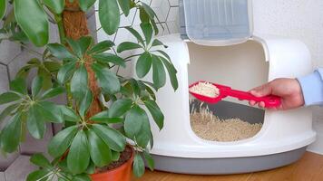 A hand with a scoop sifts the light filler in a large closed plastic tray for animals video