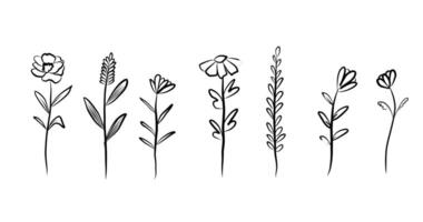 Hand drawn wildflower elements in black line art style featuring simple floral shapes on white background vector