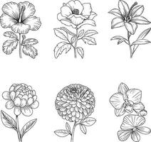 Flowers coloring pages for kids vector