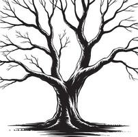 Striking black and white illustration of a large bare tree with intricate branches vector