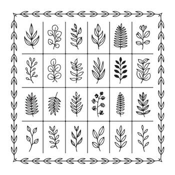 Collection of various hand drawn botanical illustrations in a grid format with decorative border vector