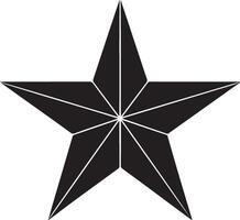 Stylized black star with white outline and geometric design vector