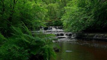 a waterfall in the middle of a lush green forest video