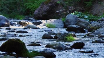 a river running through a forest with rocks and grass video