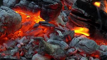 close up of a fire with red and orange flames video