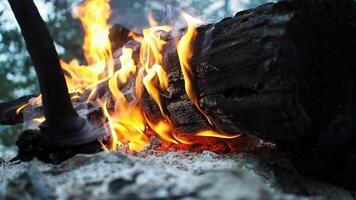 a campfire with a stick in the middle video