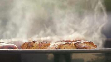 a grill with meat and vegetables cooking on it video