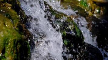 water flowing over rocks in a stream video