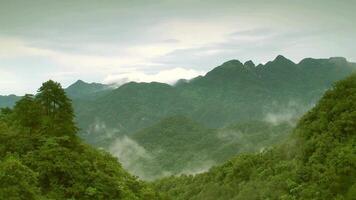 a mountain range with green trees and mountains video