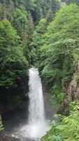 a waterfall in the middle of a forest video