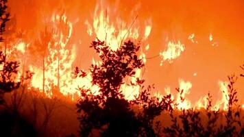 a fire burns in the background as it spreads through the brush video