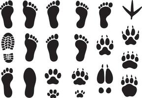 Human animal and bird footprints paw print shoe print vector