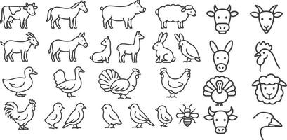 Farm animals and birds collection horse sheep vector