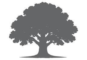 Majestic Oak Tree Silhouette grey nature vector