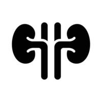 A premium glyph icon of both human kidneys vector