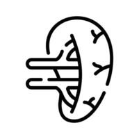 Premium linear icon of internal human spleen organ vector