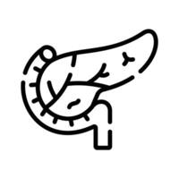 A modern outline icon of pancreas internal organ vector