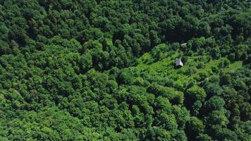 Aerial view of lodge environment of mixed green forest treetops on a summer day. Tops of trees in a coniferous-deciduous forest from a bird's eye view. video