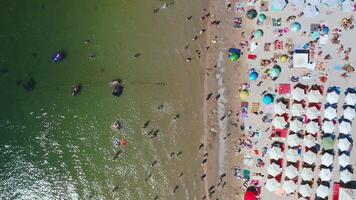 Aerial view of the beach on a hot summer day. Sun umbrellas are on the white sand. People are relaxing and sunbathing on the beach on a summer day by the ocean. video