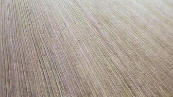 Harvested field stretches across the landscape under a clear sky video
