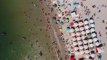 Aerial view of the sea beach in the middle of a hot summer day. Sun umbrellas are on the white sand. People are relaxing and sunbathing on the beach on a summer day by the ocean. video