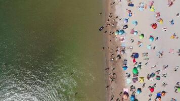 Aerial view of the beachfront in the middle of a hot summer day. Sun umbrellas are on the white sand. People are relaxing and sunbathing on the beach on a summer day by the ocean. video